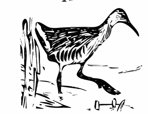 King rail in the marshland vector clip art